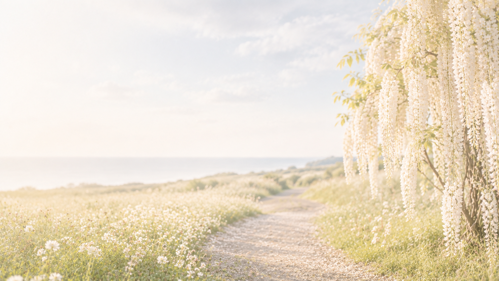 Sentiero tra fiori bianchi e glicine verso il mare