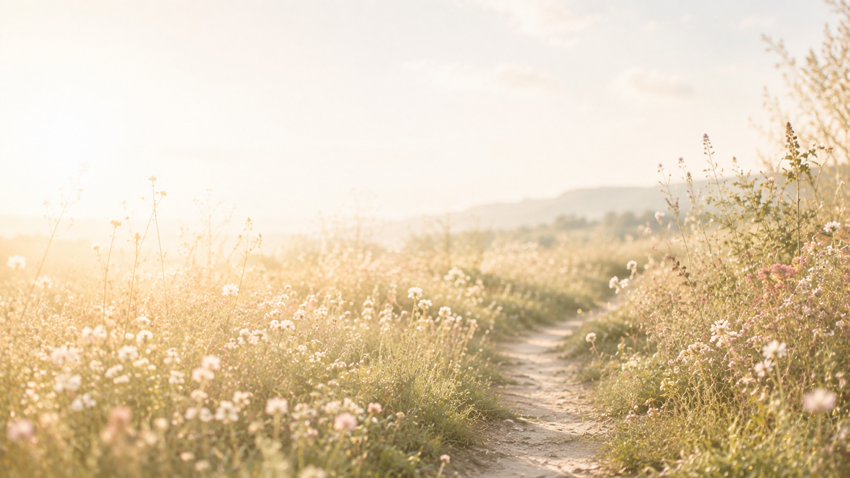 Sentiero tra la vegetazione nella luce calda del mattino